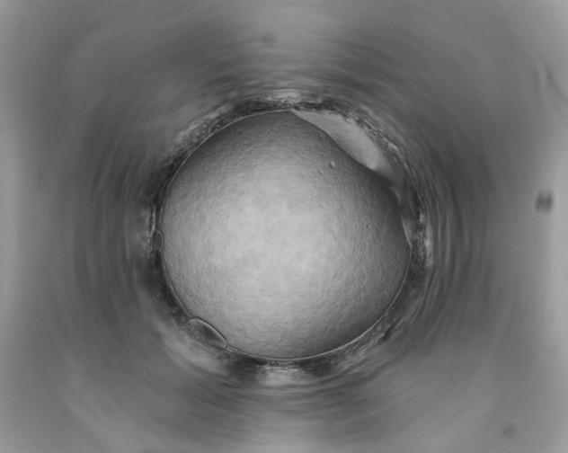 X0000091590605200709101042