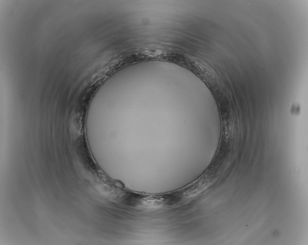 X0000091590606200709101042