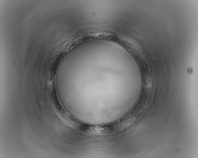 X0000091590607200709101042