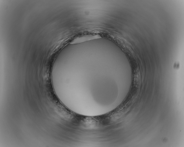 X0000091590608200709101042