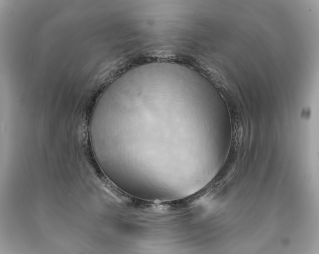 X0000091590609200709101042