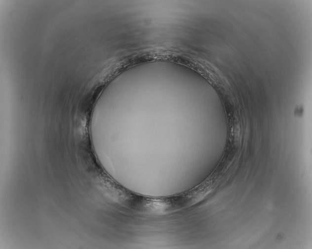 X0000091590610200709101042