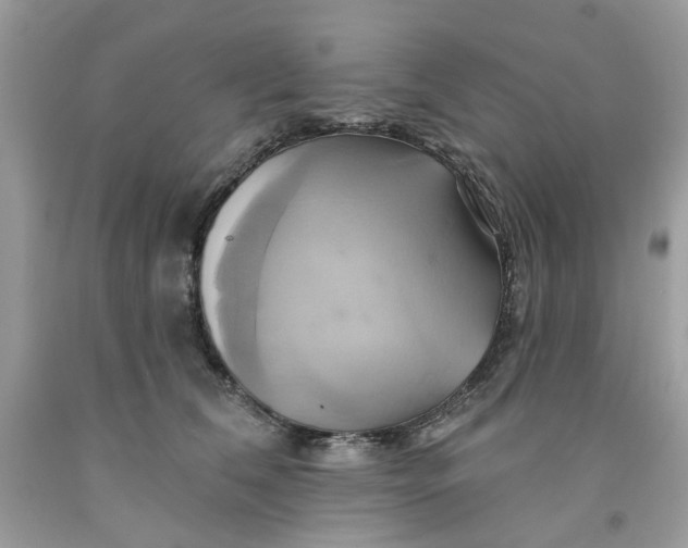 X0000091590612200709101042