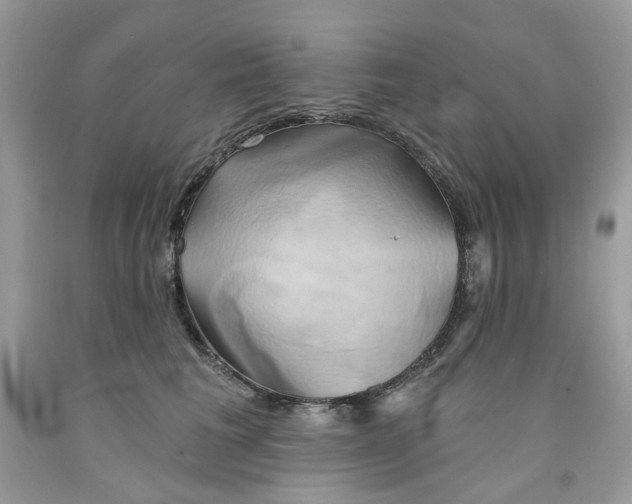 X0000091590613200709101042