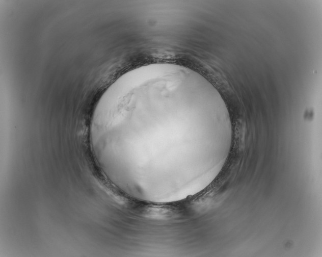 X0000091590614200709101042