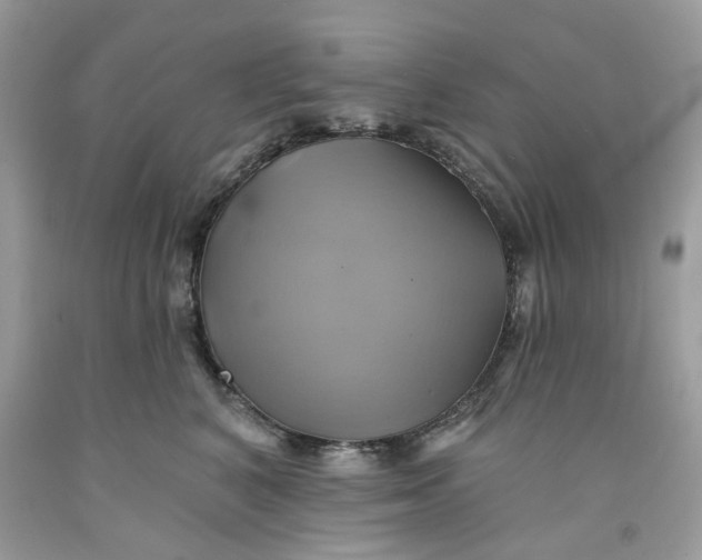 X0000091590616200709101042