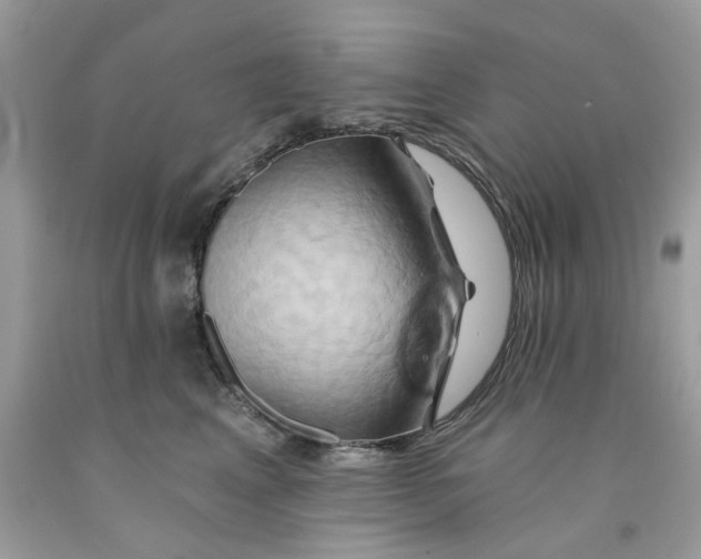 X0000091590617200709101042