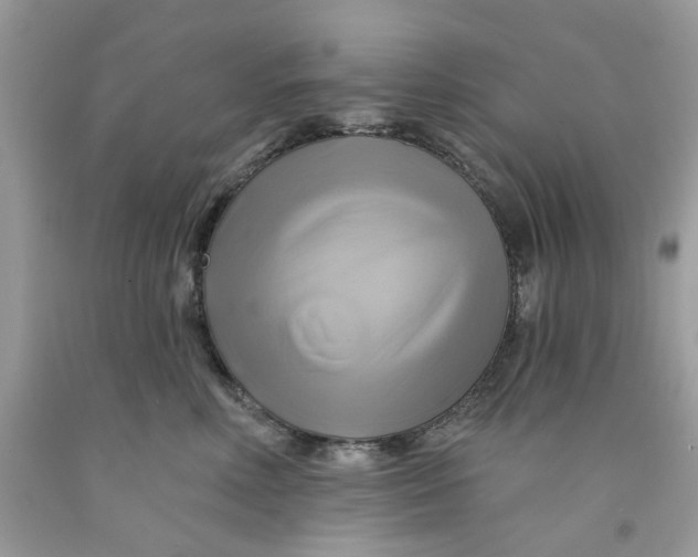 X0000091590618200709101042