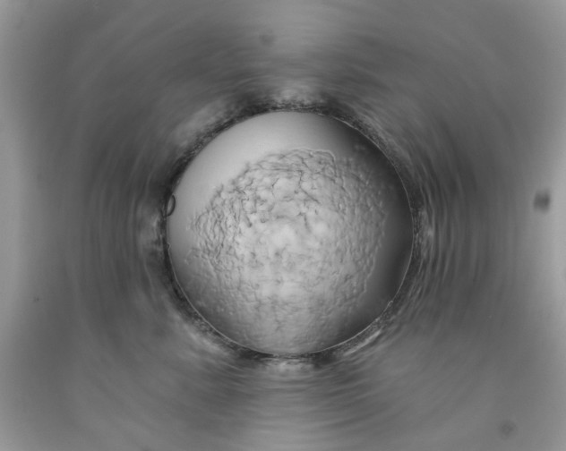 X0000091590619200709101042