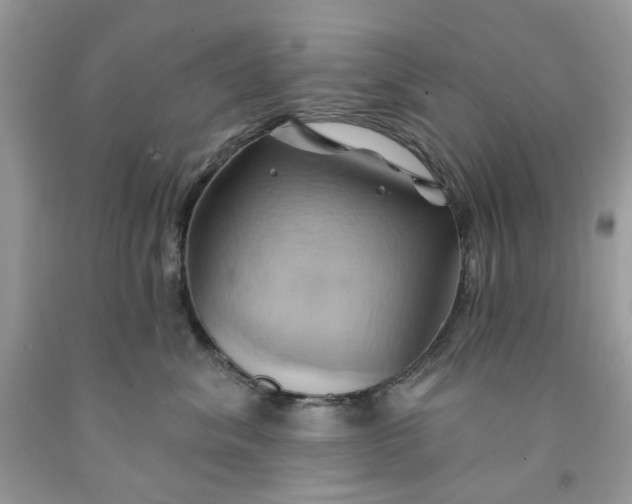 X0000091590620200709101041