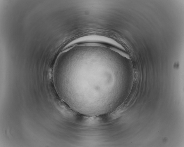 X0000091590621200709101041