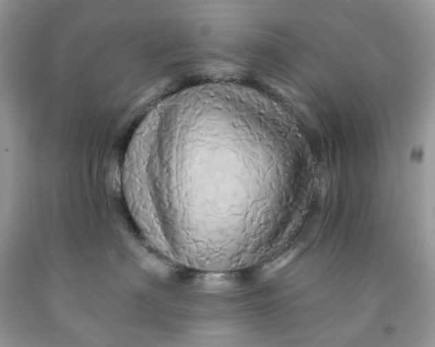 X0000091590622200709101041