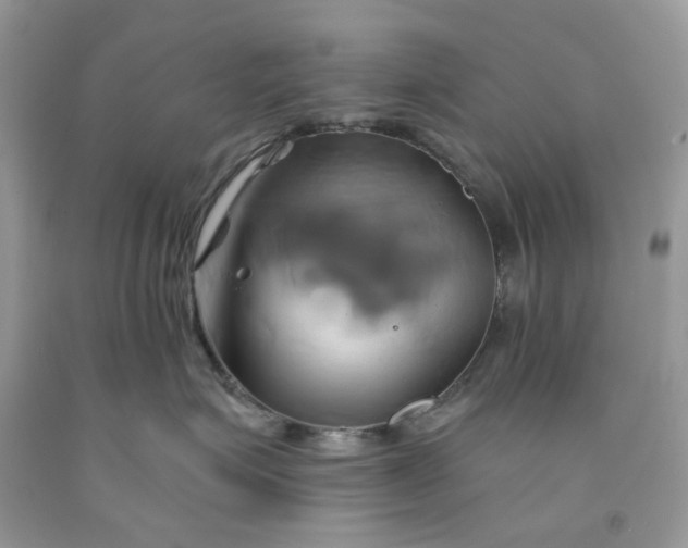 X0000091590623200709101041