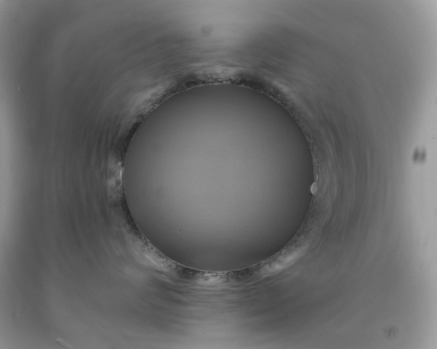 X0000091590624200709101041