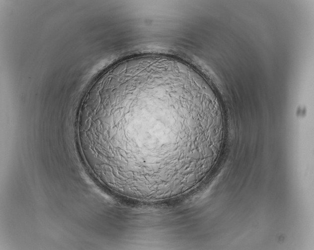 X0000091590625200709101041