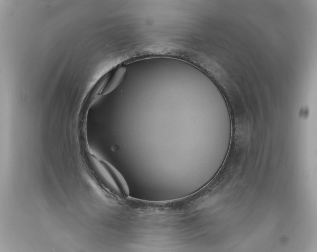 X0000091590626200709101041