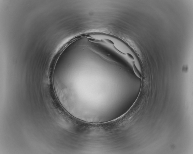 X0000091590628200709101041