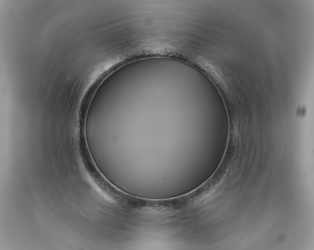 X0000091590630200709101041