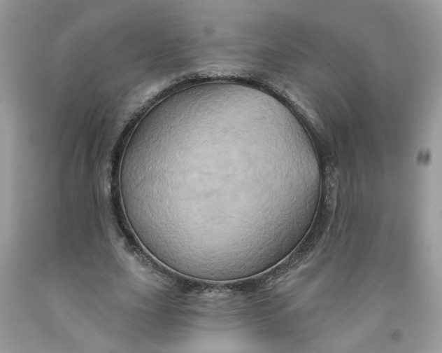 X0000091590631200709101041