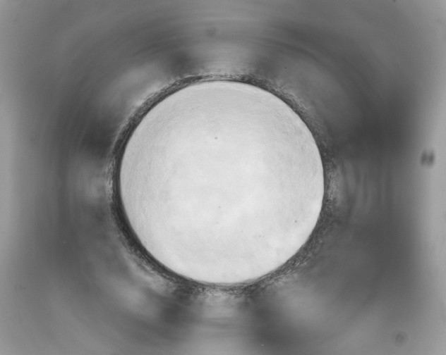 X0000091590632200709101041