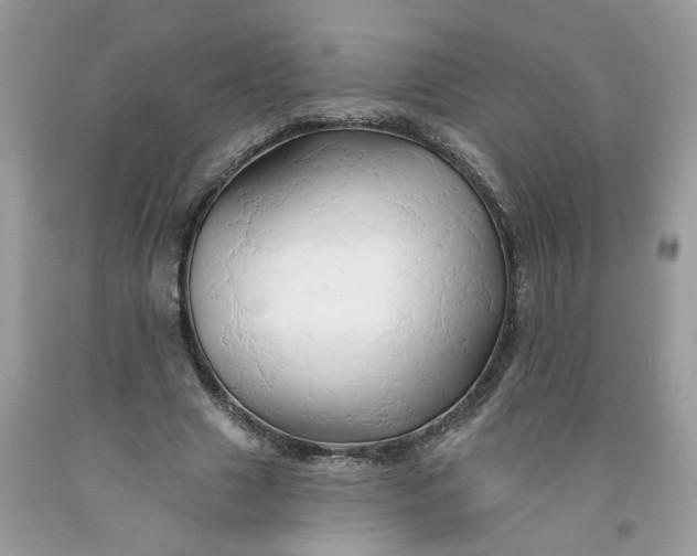 X0000091590633200709101041