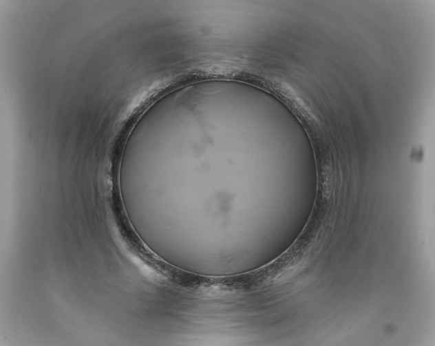 X0000091590634200709101041