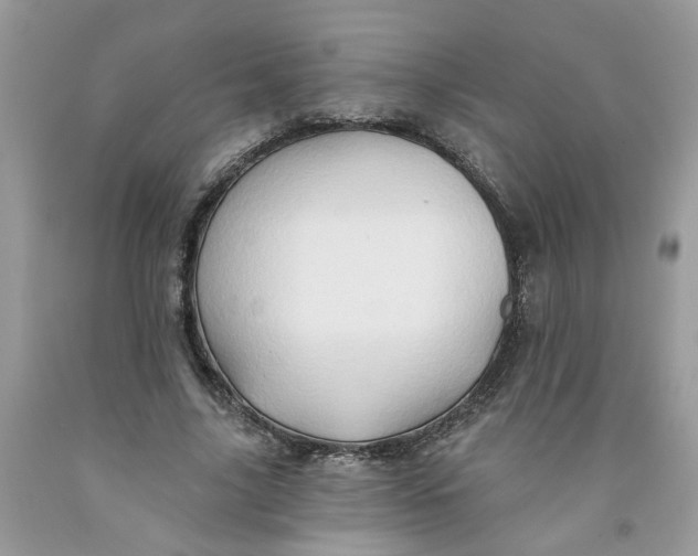 X0000091590635200709101041