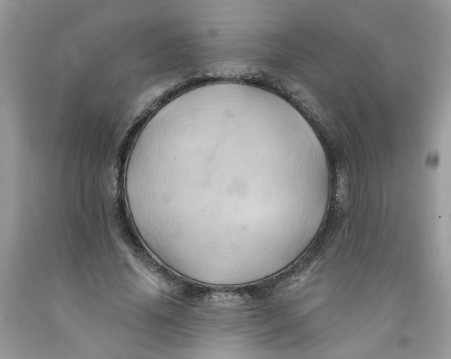 X0000091590636200709101041