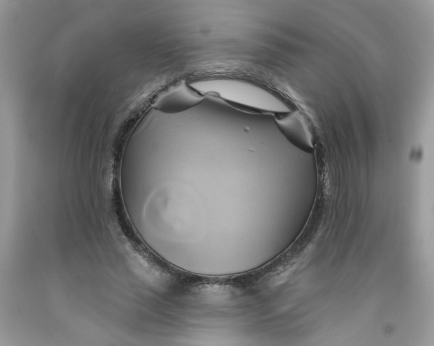 X0000091590637200709101041