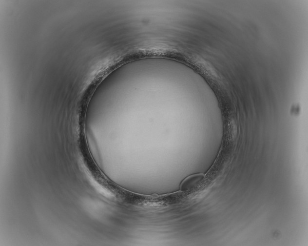 X0000091590638200709101041