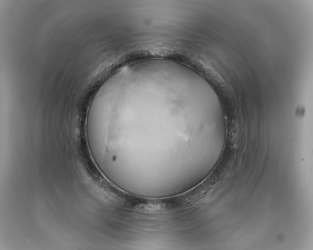 X0000091590639200709101041