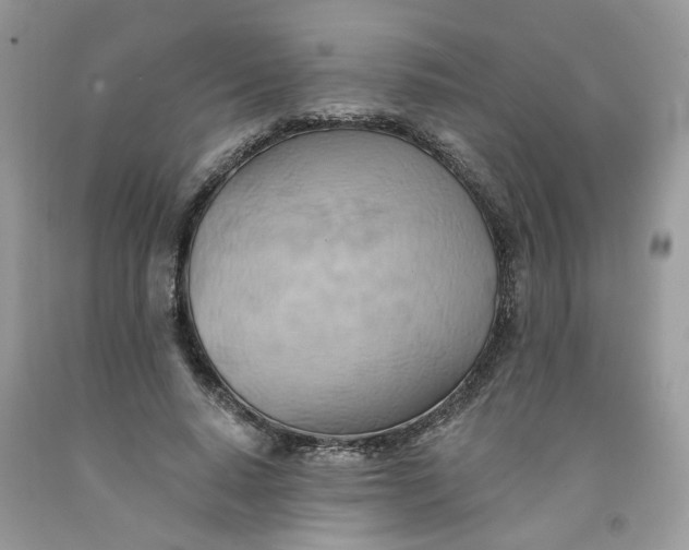 X0000091590640200709101041