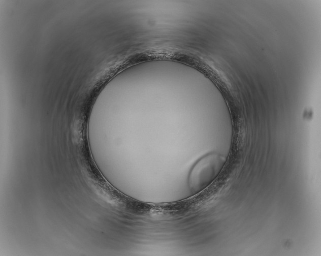 X0000091590641200709101041