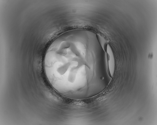 X0000091590642200709101041