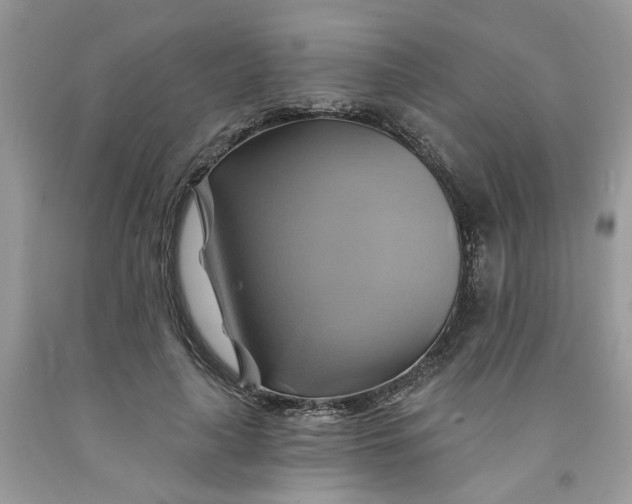 X0000091590643200709101041