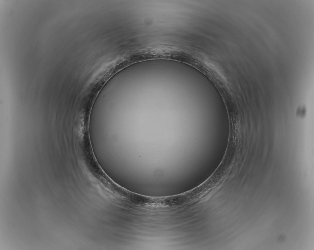 X0000091590644200709101041