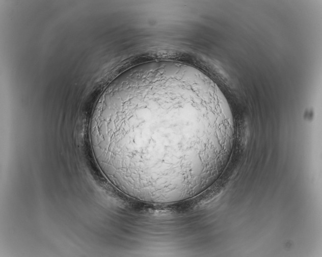 X0000091590645200709101041