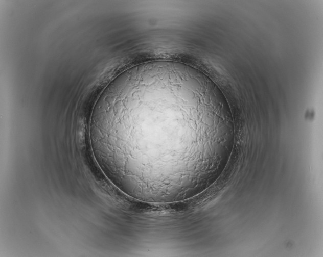 X0000091590646200709101041