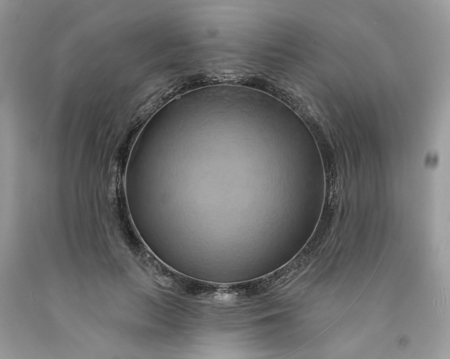 X0000091590647200709101041