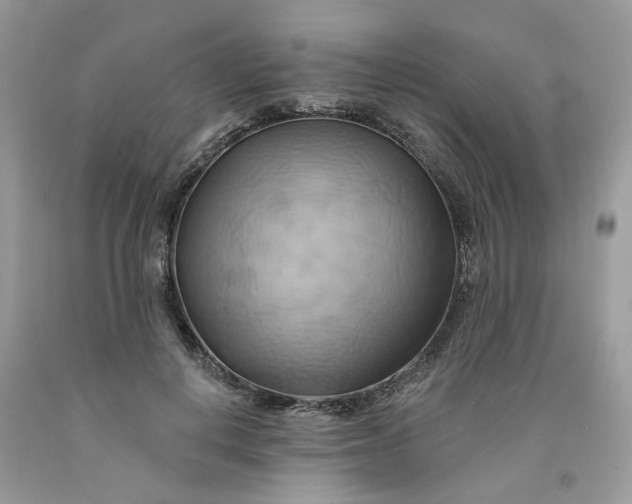 X0000091590648200709101041