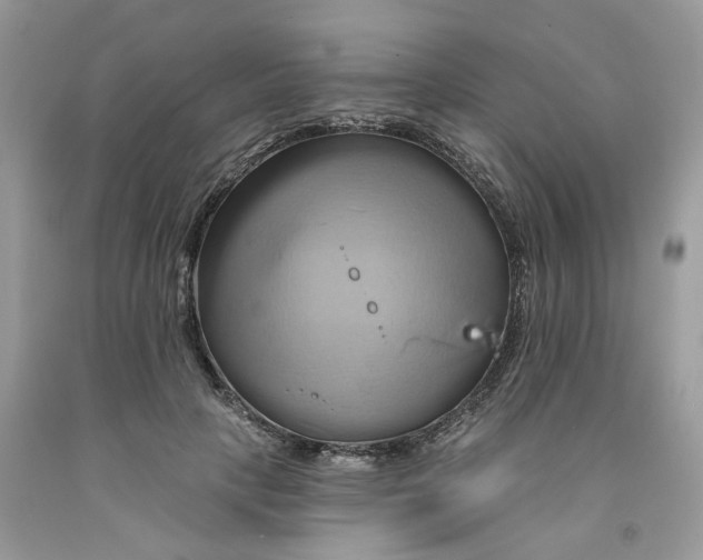 X0000091590649200709101041