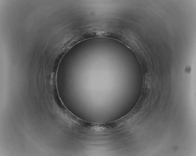 X0000091590650200709101041