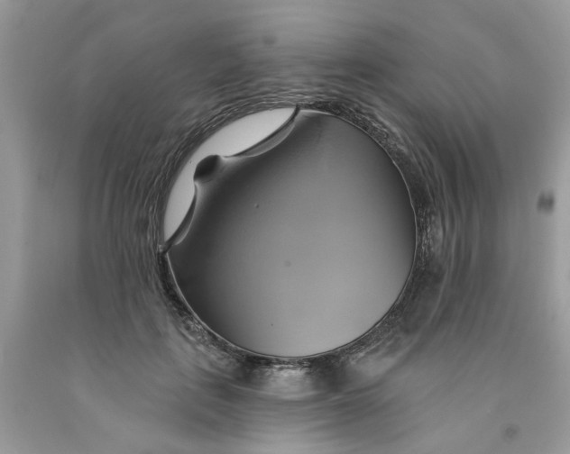 X0000091590651200709101041