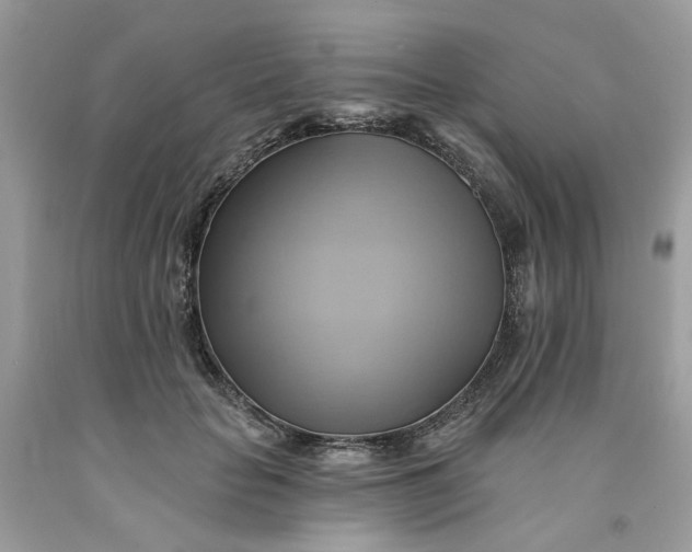 X0000091590653200709101041