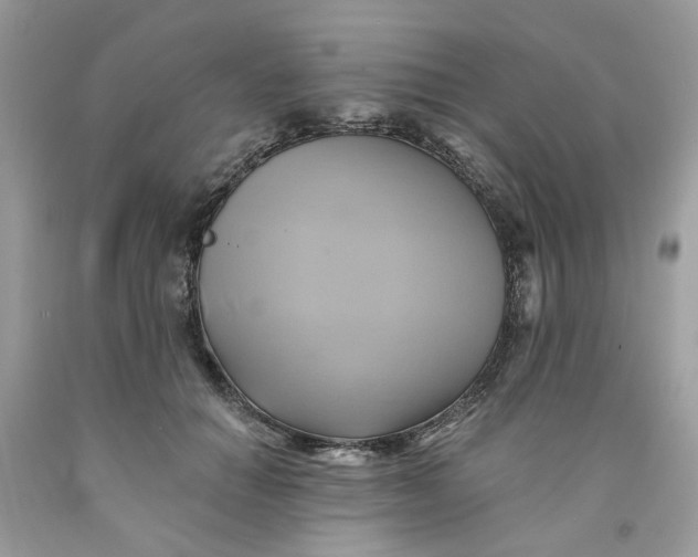 X0000091590654200709101041