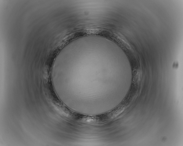 X0000091590655200709101041