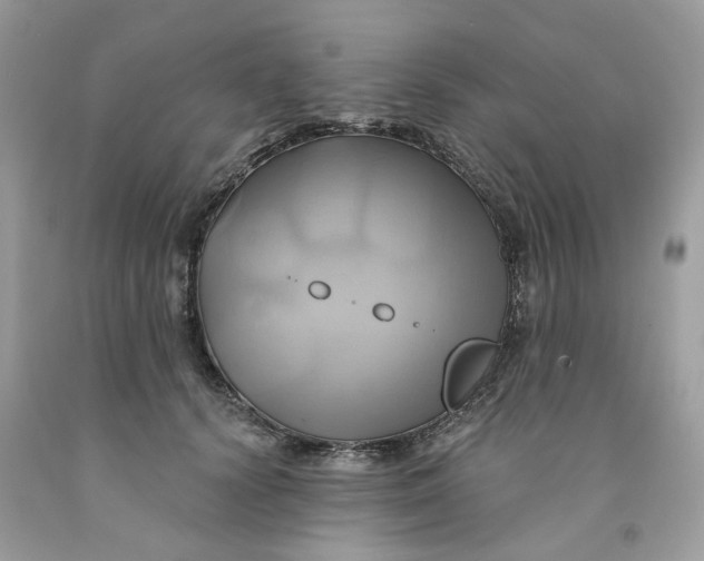 X0000091590656200709101041