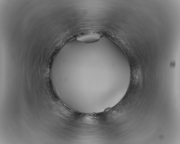 X0000091590657200709101041