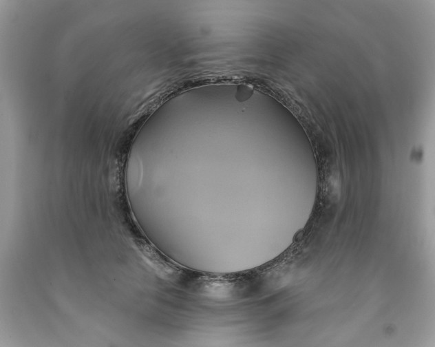 X0000091590658200709101041