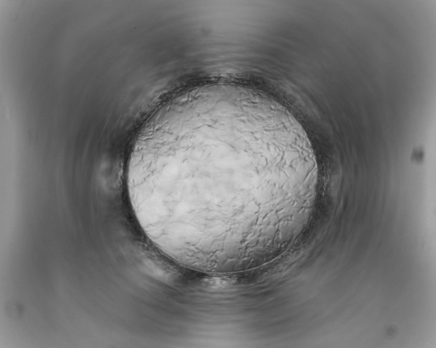 X0000091590660200709101041